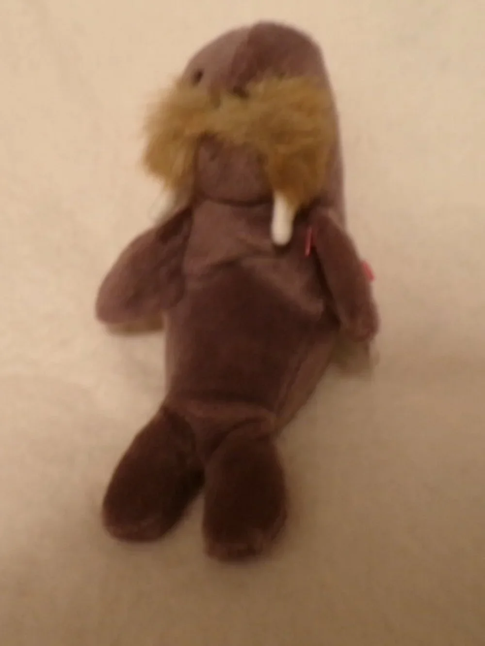 TY Beanie Baby - JOLLY the Walrus 1996